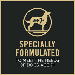 Purina Pro Plan SENIOR 7+ wet dog food bowl being served to a senior dog