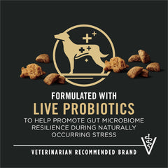 Purina Pro Plan shredded blend kibble closeup highlighting texture variety