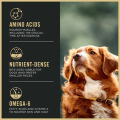 Purina Pro Plan small bites kibble texture suitable for small mouths.