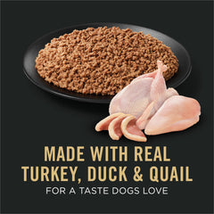 Purina Pro Plan Sport Entree served in a bowl for athletic dogs.