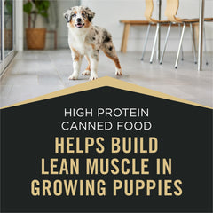 Purina Pro Plan Sport puppy meals in a feeding bowl for easy serving