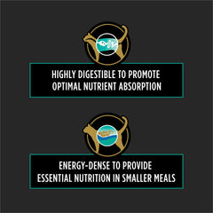 Purina Pro Plan EN Gastroenteric kibble close-up shows crunchy texture for meals