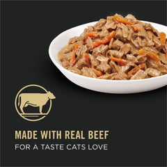 Purina Pro Plan cat food served in a bowl with beef gravy and carrot pieces