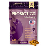 Purple Cat Feline Biome bottle label showcases premium probiotic branding for gut support.