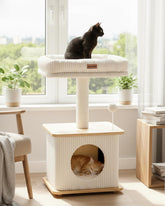 Purrlato modern cat tree perch for elevated lounging and room-wide views.