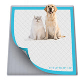 PUWANJILI pee pad holder with raised edge prevents spills on training pads.