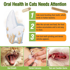 Puxulyiz cat dental treat close-up shows porous texture for cleaning.