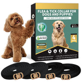 Puyrzoe black flea collar on dog front for all-day protection