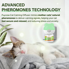 Puyrzoe diffuser in-room placement demonstrates broad coverage for living spaces.
