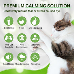 Puyrzoe refill pack for extended soothing support up to 30 days