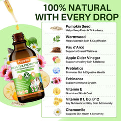 Puyrzoe immune boost ingredients visible in product blend for wellness