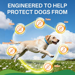Puyrzoe collar offers 32-month protection with eight months per collar