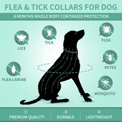 Puyrzoe collar with metal clasp closeup for secure fit