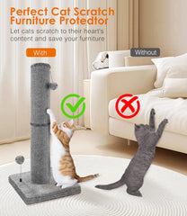 PuzzlePaw spring ball toy adds interactive play during scratching sessions.