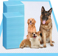 PWQOENFD Puppy Pad 40x40 with leakproof backing protects floors during training