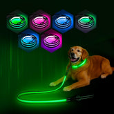 PZRLit light-up leash showing full-length glow for night visibility.