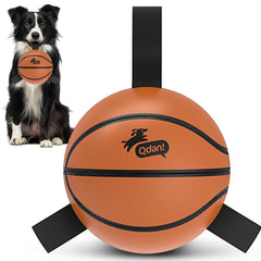 QDAN dog ball basketball toy with straps for easy pickup and unpredictable bounce.