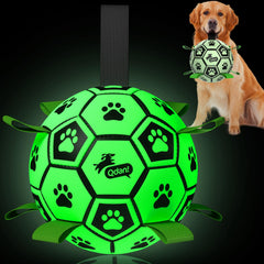 QDAN glow-in-the-dark dog ball glows green for night play.