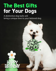 QDAN dog ball with nylon straps boosts toss and tug games.