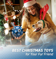 QDAN dog ball toy with straps enhances fetch and returns.