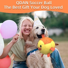 QDAN ball promotes fetch and tug with sturdy seams for interactive training