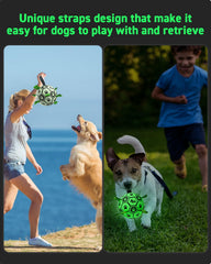QDAN waterproof dog ball designed for water play and splashy fun.