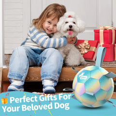 QDAN dog balls with straps in action, enhancing bounce and chase