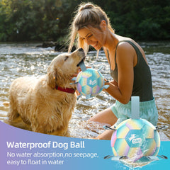 QDAN dog balls used in pool or lake for splashy fun