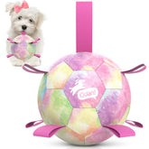 QDAN rainbow ball with straps, 6-inch size for playful fetch sessions