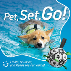 QDAN ball with nylon tabs supports easy fetch and tug.