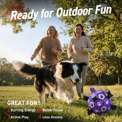 QDAN soccer ball with straps for small and medium dogs.