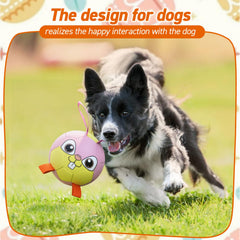 QDAN dog soccer ball designed for water play and buoyant fun in pool or lake.