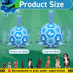 QDAN dog water toy ready for pool or beach retrieval
