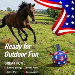 QDAN dog pool toy for splashy water play at the beach