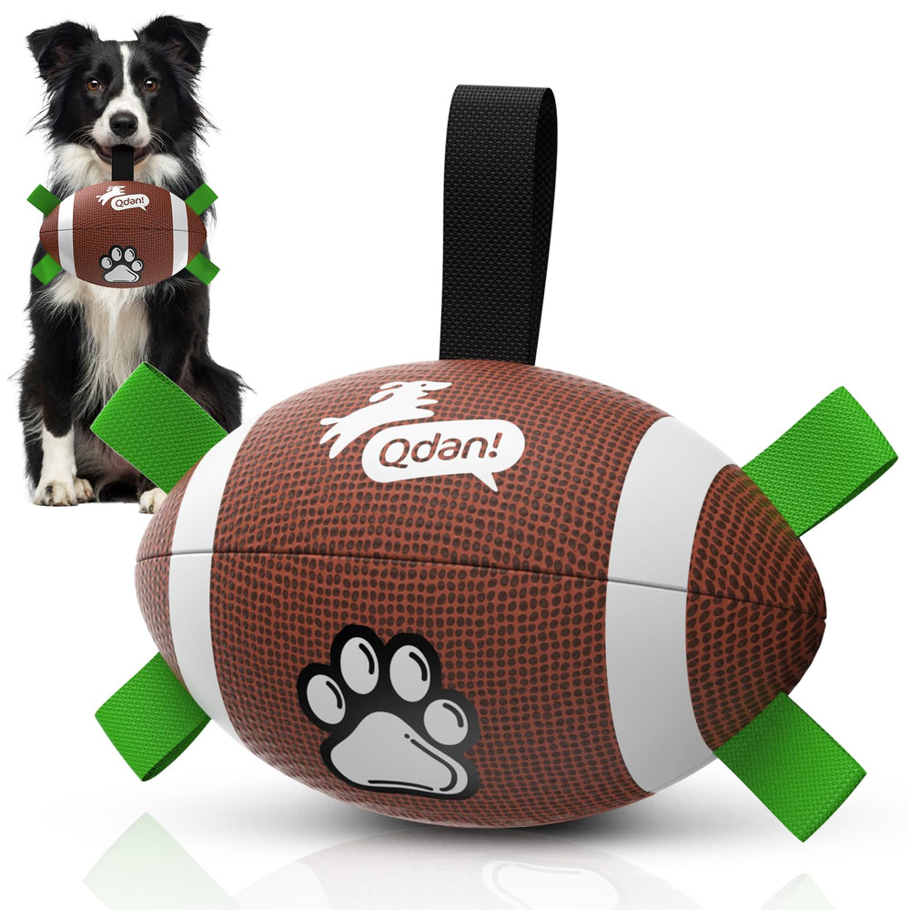 QDAN dog football ball front view for interactive fetch outdoors