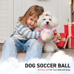QDAN dog toy close-up shows nylon tabs and durable PU surface.