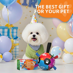 QDAN dog toys ball in play demonstrates unpredictable bounce to spark running.