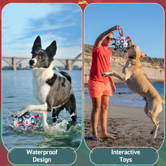QDAN dog soccer ball in pool highlighting pool-friendly water toy feature.