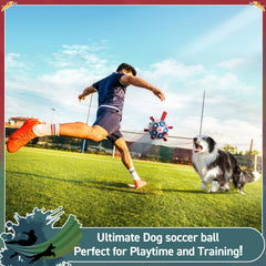 QDAN dog soccer ball nylon tabs close-up showing irregular bounce for active play.