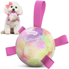 QDAN rainbow soccer ball with straps for small dogs, ideal for fetch and tug.