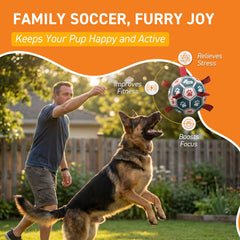 QDAN dog soccer ball with grab straps, easy tossing and gripping.