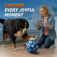 QDAN water-friendly dog ball for lakes and beaches