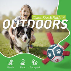QDAN water-capable dog ball floats for pool, lake, or beach sessions