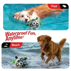 QDAN durable PU 8-inch dog ball suitable for medium to large breeds.