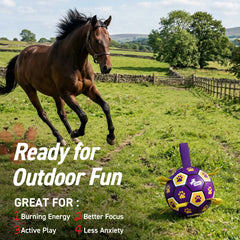 QDAN durable PU dog ball designed for long outdoor sessions.