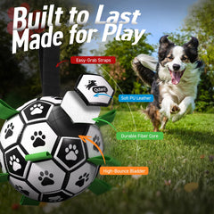 QDAN interactive ball with 9 nylon tabs for erratic bounce.