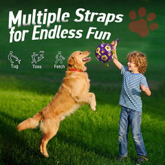 QDAN ball with nylon tabs for unpredictable bounce and chasing fun.