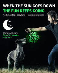 QDAN paw-print design on ball to attract dogs during play.