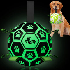 QDAN glow-in-the-dark dog ball for night fetch and visibility.