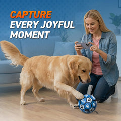 QDAN non-toxic PU ball material for safe dog play.